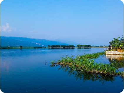 Tanguar Haor